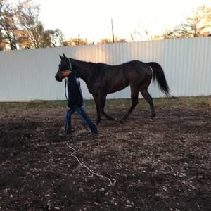 Meet your Posher, Jonathanjr